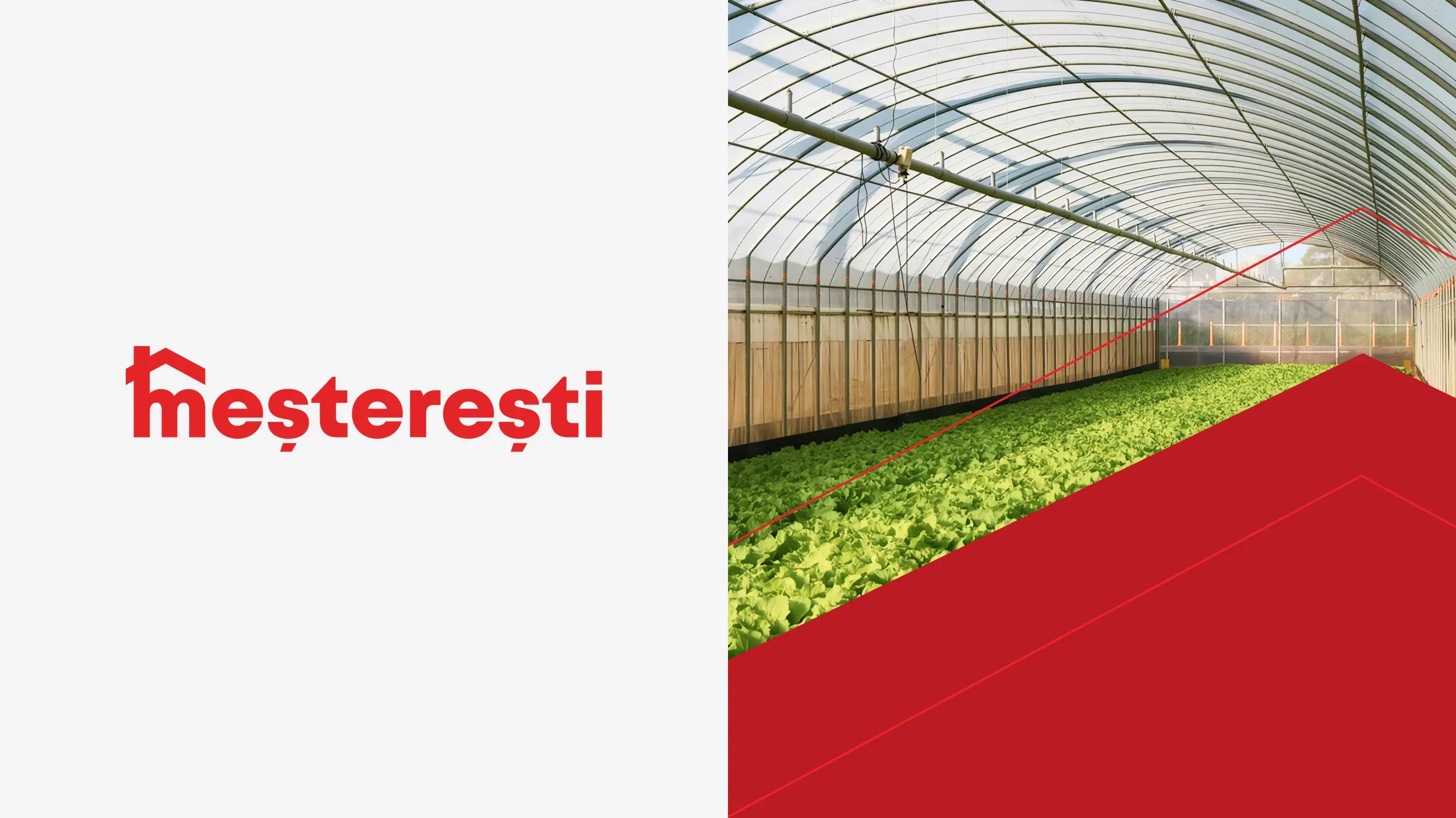 Studiu de caz Meșterești