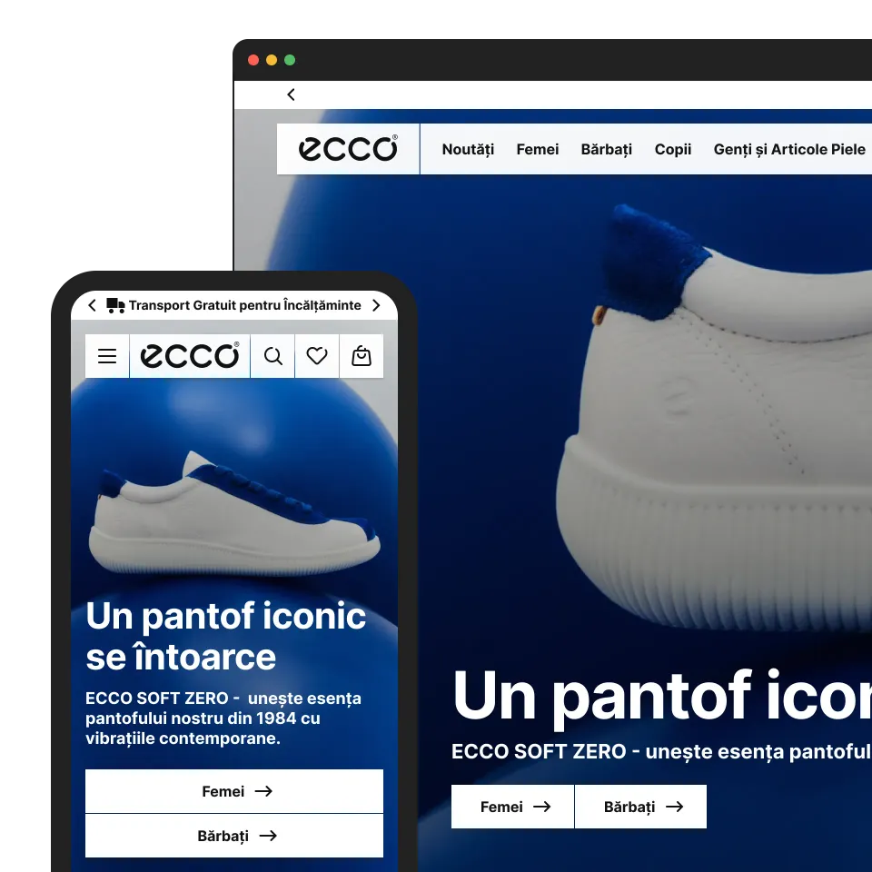 Studiu de caz ECCO